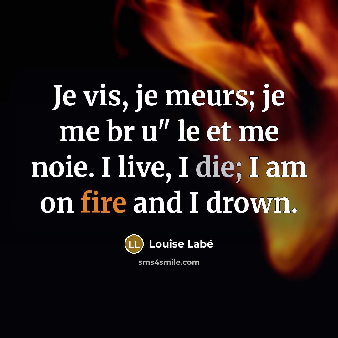 “Je vis, je meurs; je me br u" le et…” quote by Louise Labe