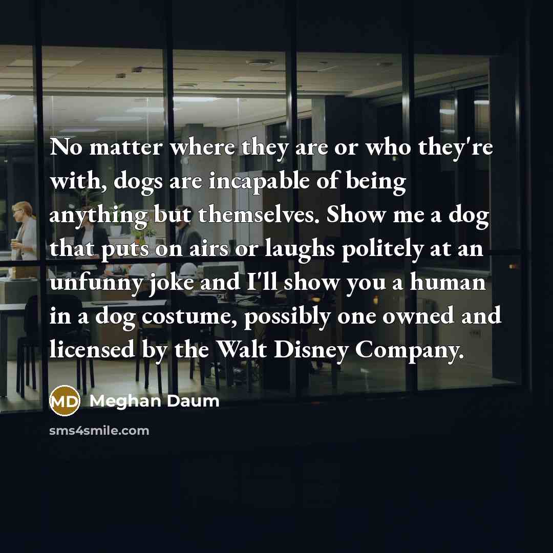 “No matter where they are or who they're with, dogs…” quote by Meghan Daum