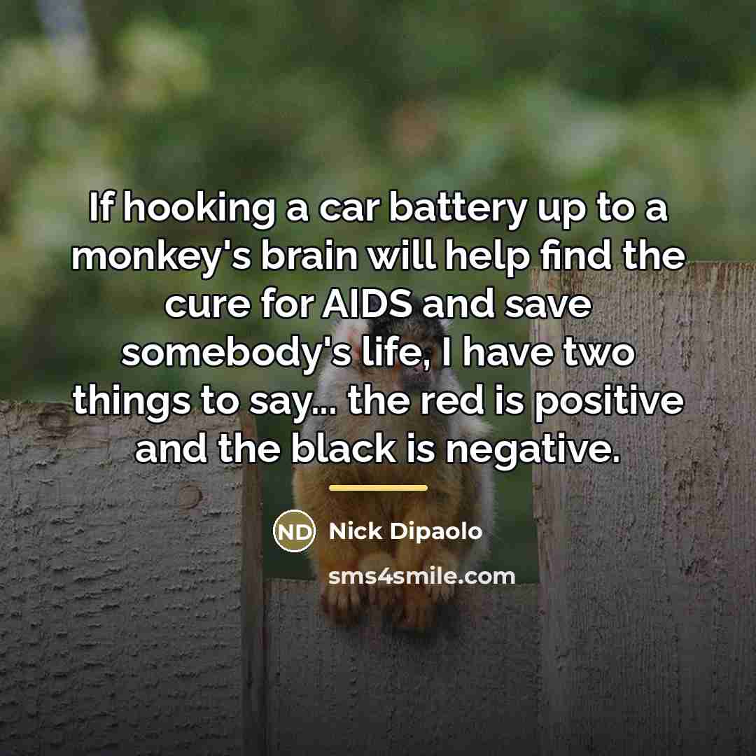 “If hooking a car battery up to a monkey's brain…” quote by Nick Dipaolo