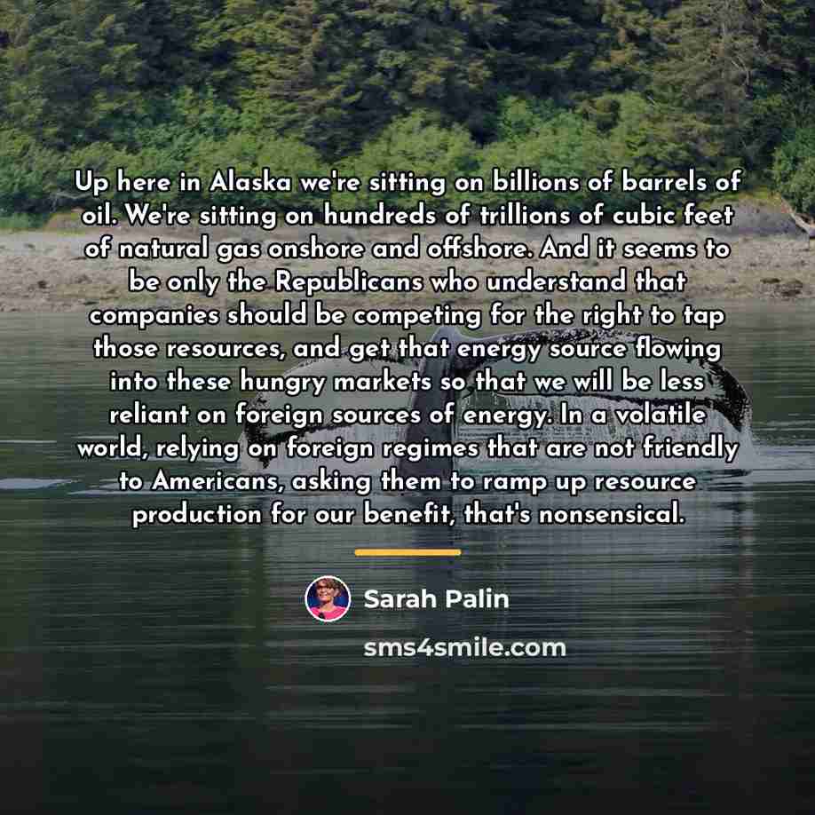 “Up here in Alaska we're sitting on billions of barrels…” quote by Sarah Palin