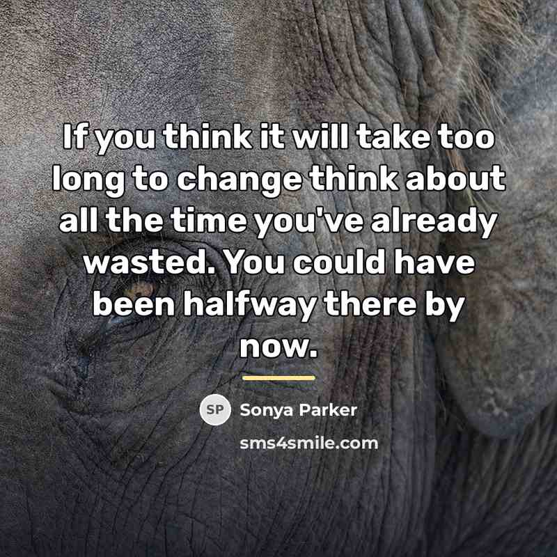 “If you think it will take too long to change…” quote by Sonya Parker