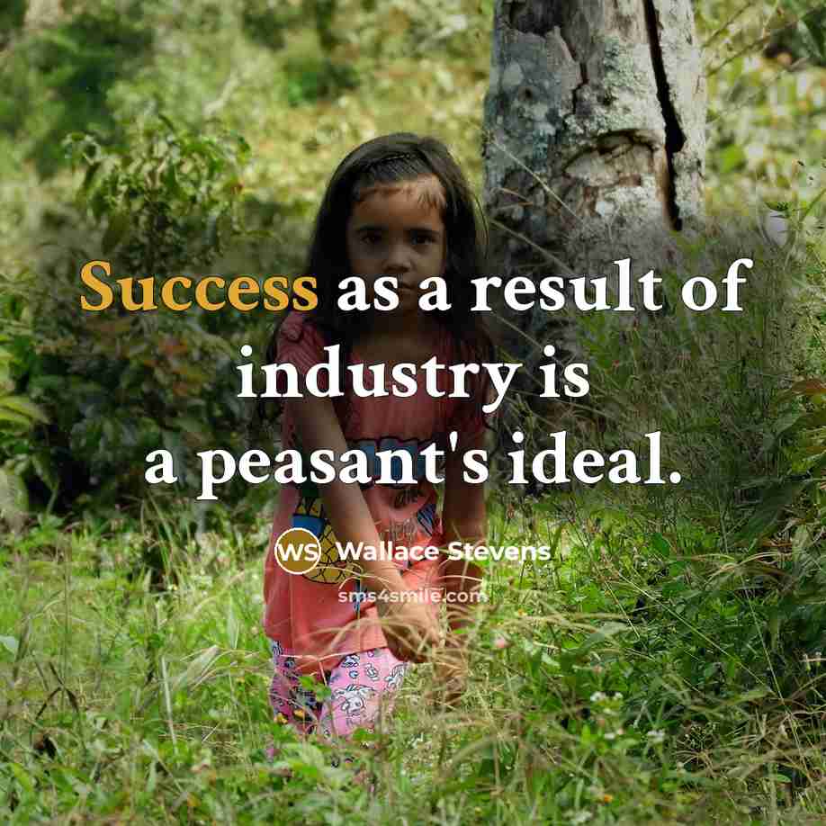 “Success as a result of industry is a peasant's ideal.…” quote by Wallace Stevens