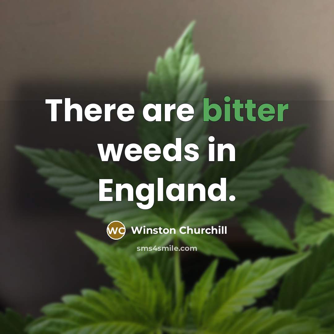 “There are bitter weeds in England.…” quote by Winston Churchill