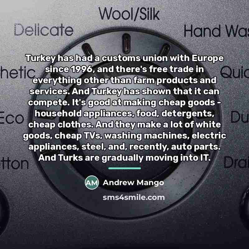 “Turkey has had a customs union with Europe since 1996,…” quote by Andrew Mango