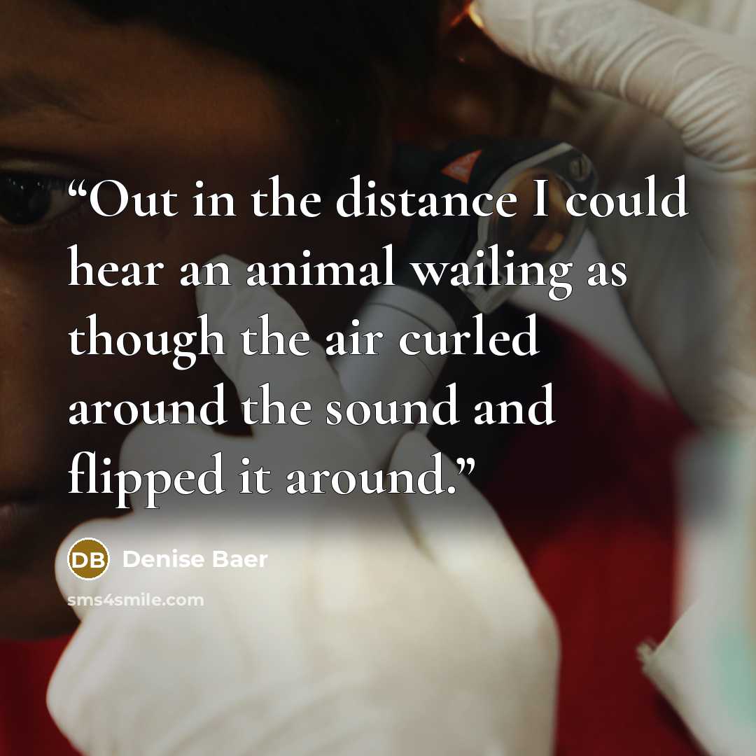 “Out in the distance I could hear an animal wailing as though the air curled around the sound and flipped it around.” quote by Denise Baer