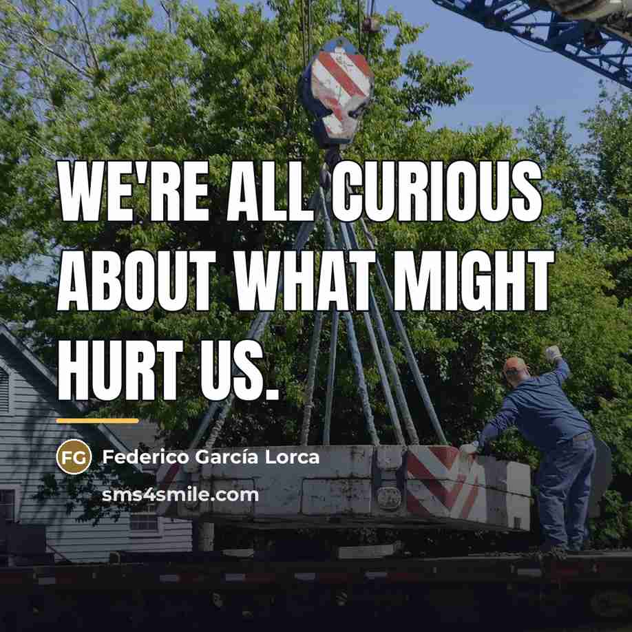 “We're all curious about what might hurt us.…” quote by Federico Garcia Lorca