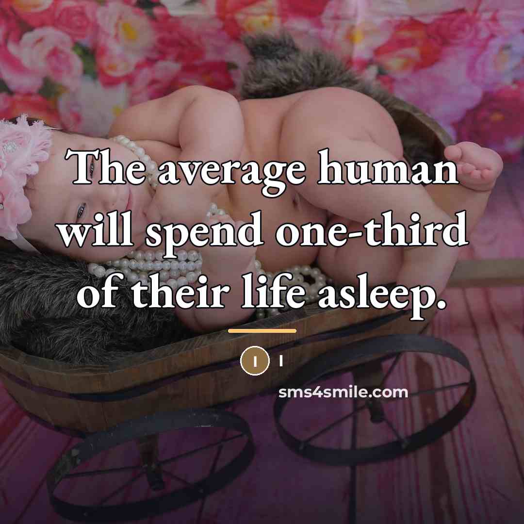 “The average human will spend one-third of their life asleep.…” quote by I
