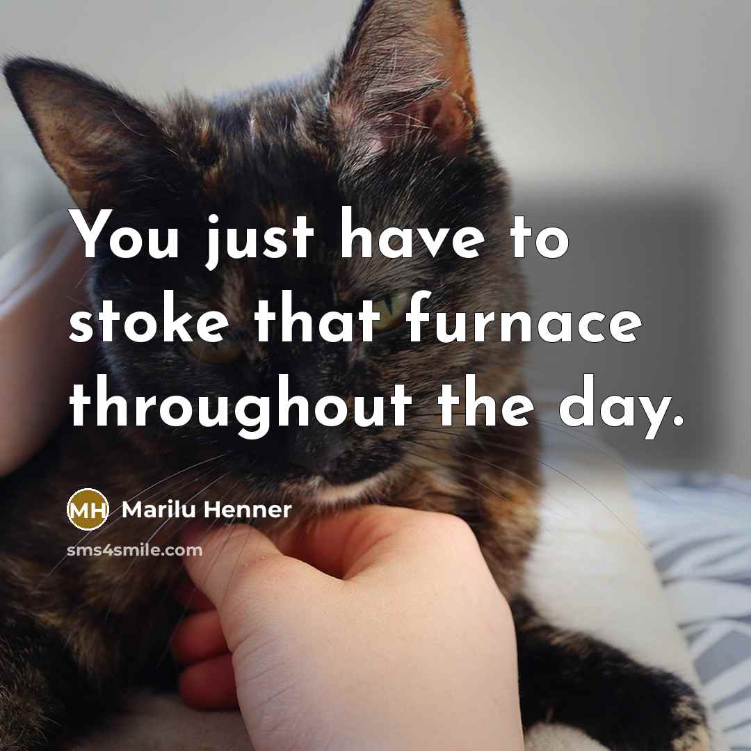 “You just have to stoke that furnace throughout the day.…” quote by Marilu Henner