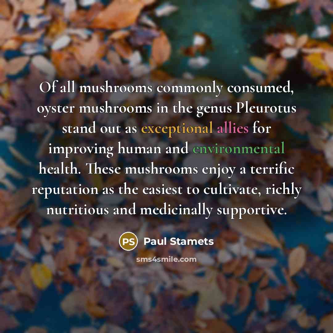 “Of all mushrooms commonly consumed, oyster mushrooms in the genus…” quote by Paul Stamets