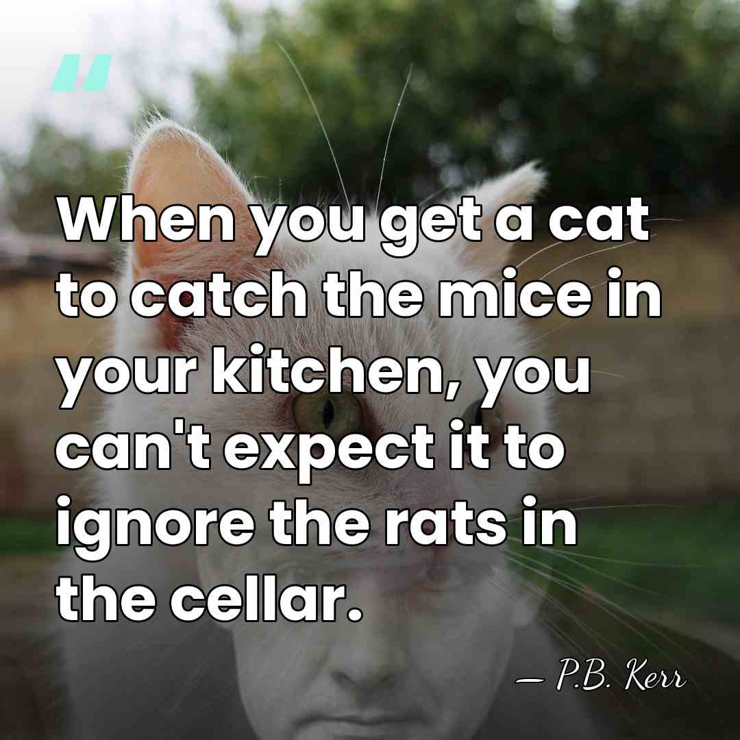 When you get a cat to catch the mice in your kitchen,&hellip; - P.B. Kerr