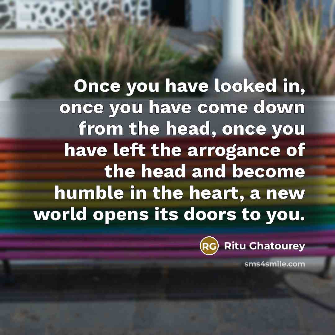 “Once you have looked in, once you have come down…” quote by Ritu Ghatourey