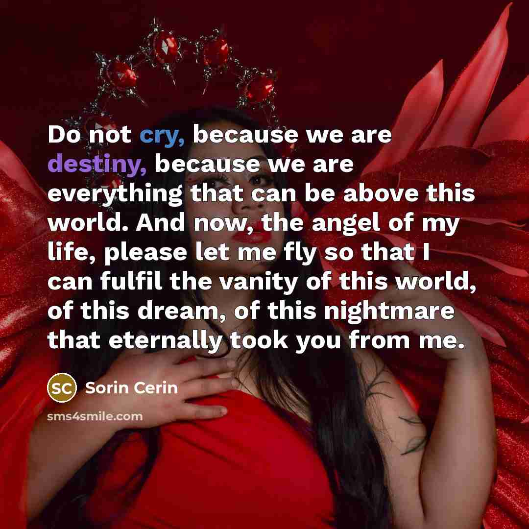 “Do not cry, because we are destiny, because we are…” quote by Sorin Cerin