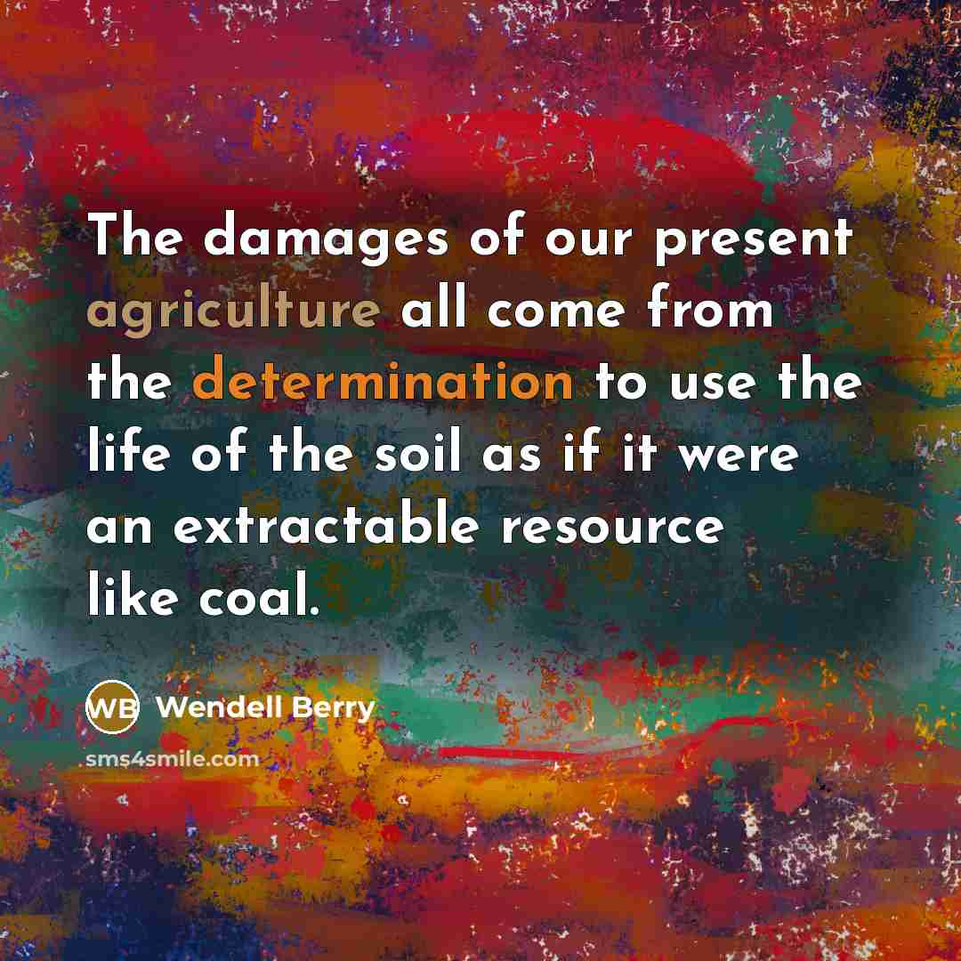 “The damages of our present agriculture all come from the…” quote by Wendell Berry