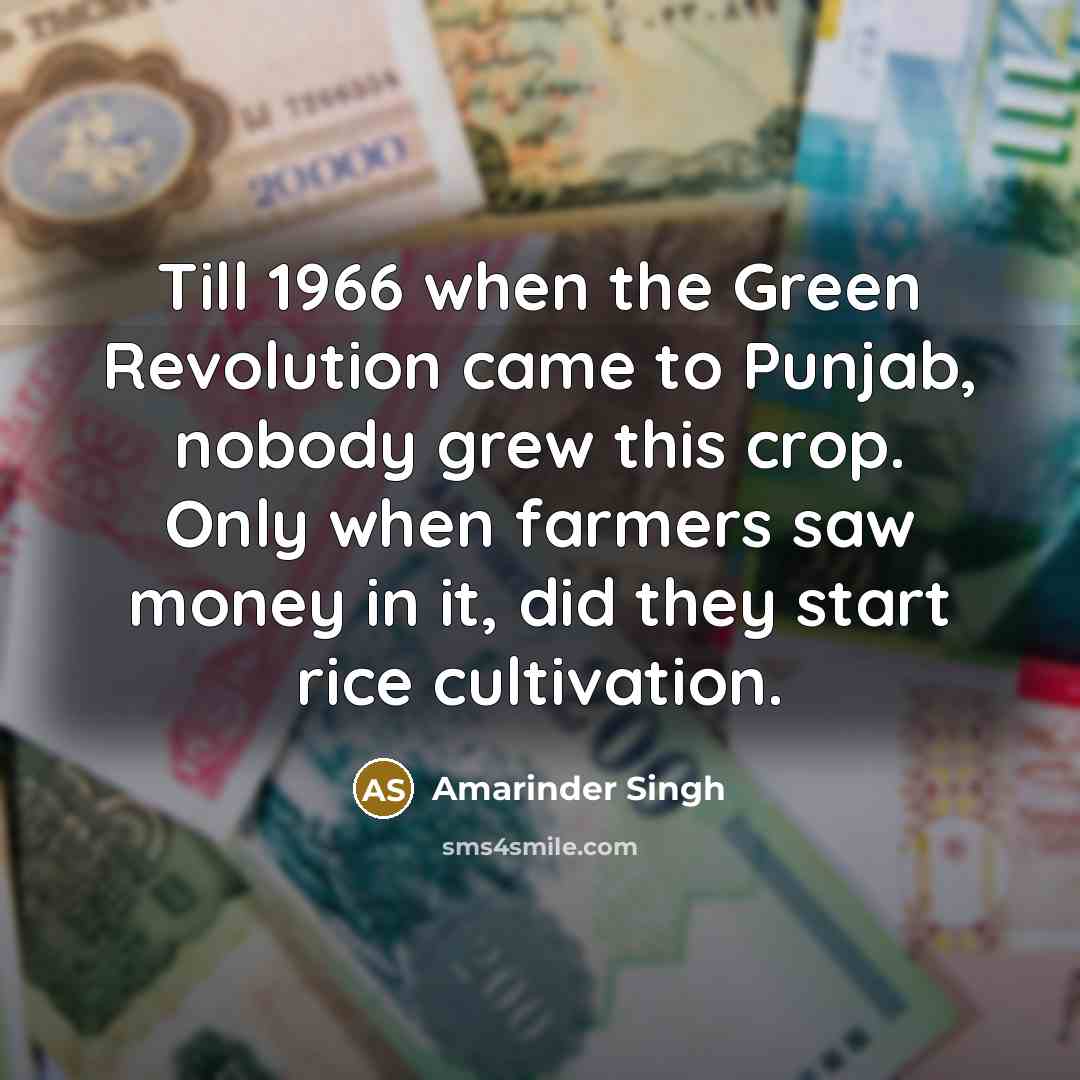 “Till 1966 when the Green Revolution came to Punjab, nobody…” quote by Amarinder Singh