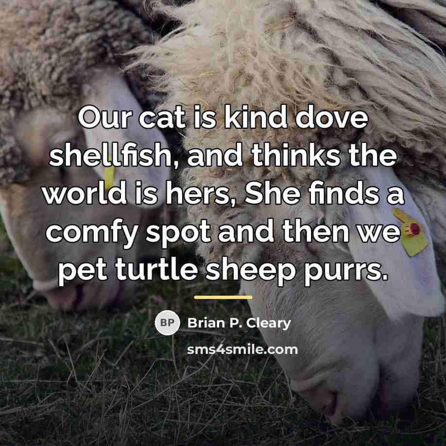 “Our cat is kind dove shellfish, and thinks the world…” quote by Brian P. Cleary
