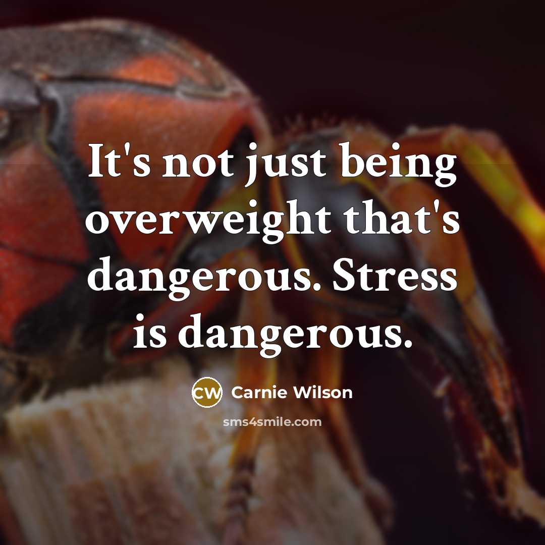 “It's not just being overweight that's dangerous. Stress is dangerous.…” quote by Carnie Wilson
