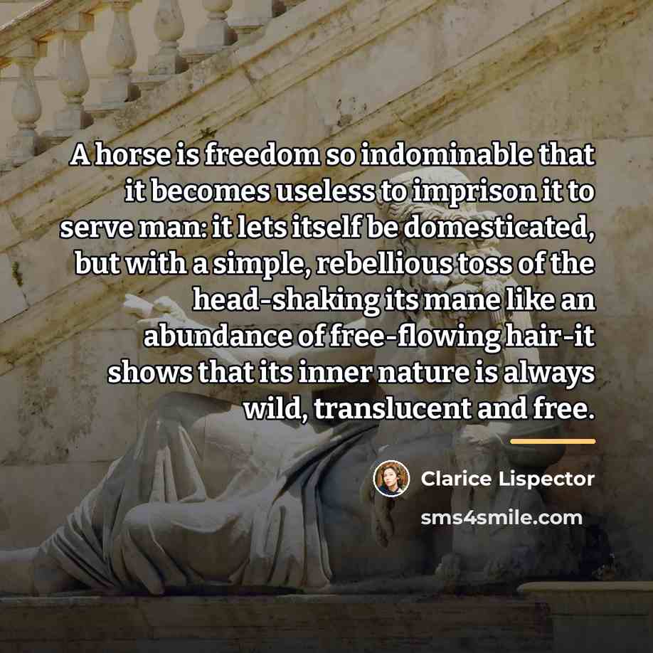 “A horse is freedom so indominable that it becomes useless…” quote by Clarice Lispector