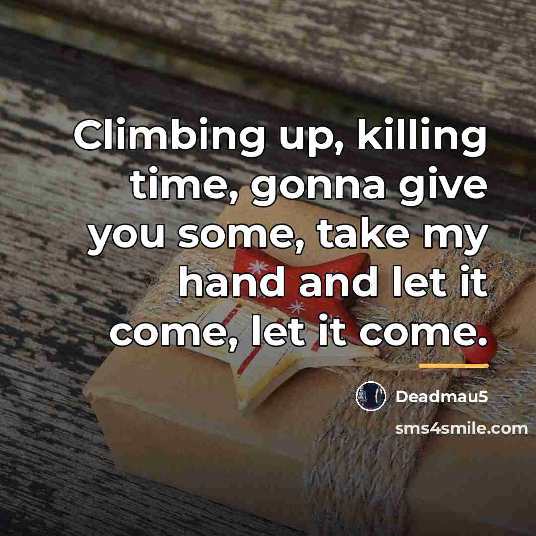 “Climbing up, killing time, gonna give you some, take my…” quote by Deadmau5