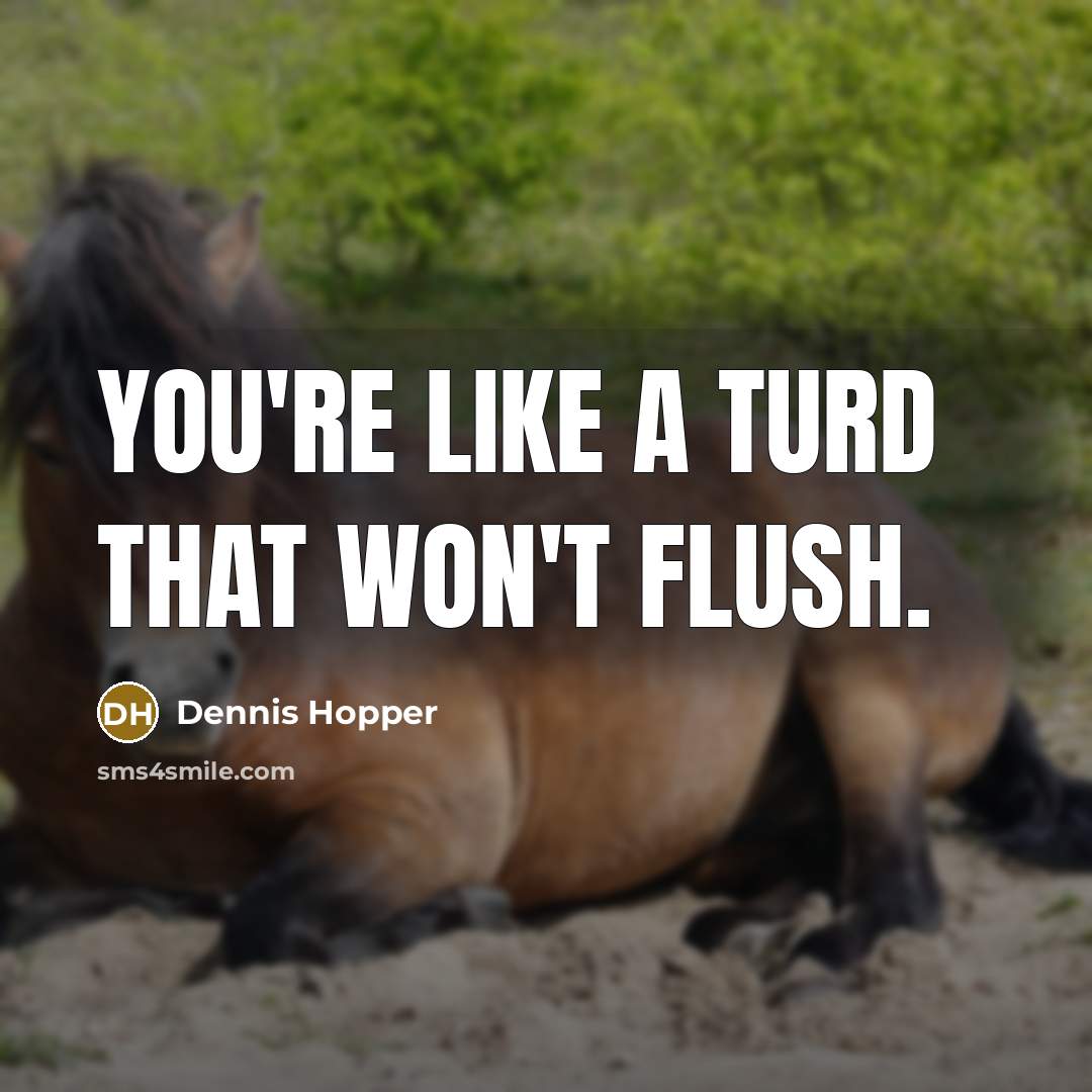 “You're like a turd that won't flush.” quote by Dennis Hopper