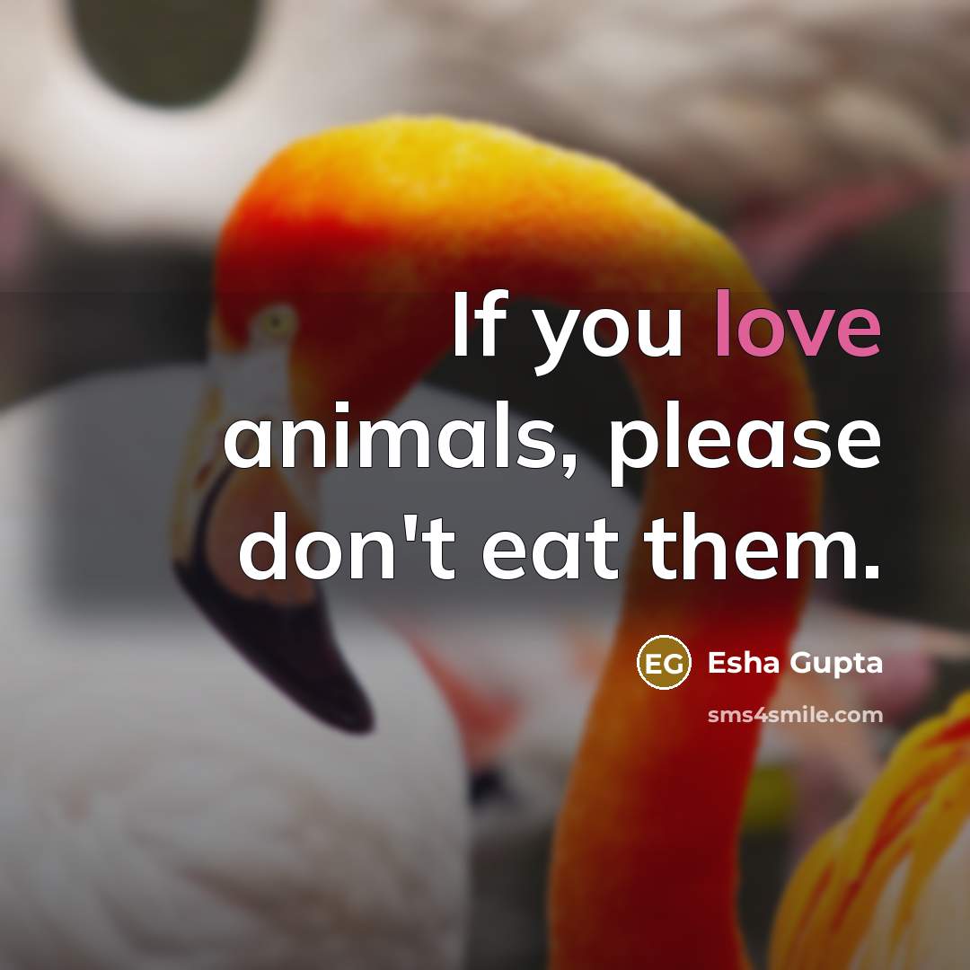 “If you love animals, please don't eat them.…” quote by Esha Gupta
