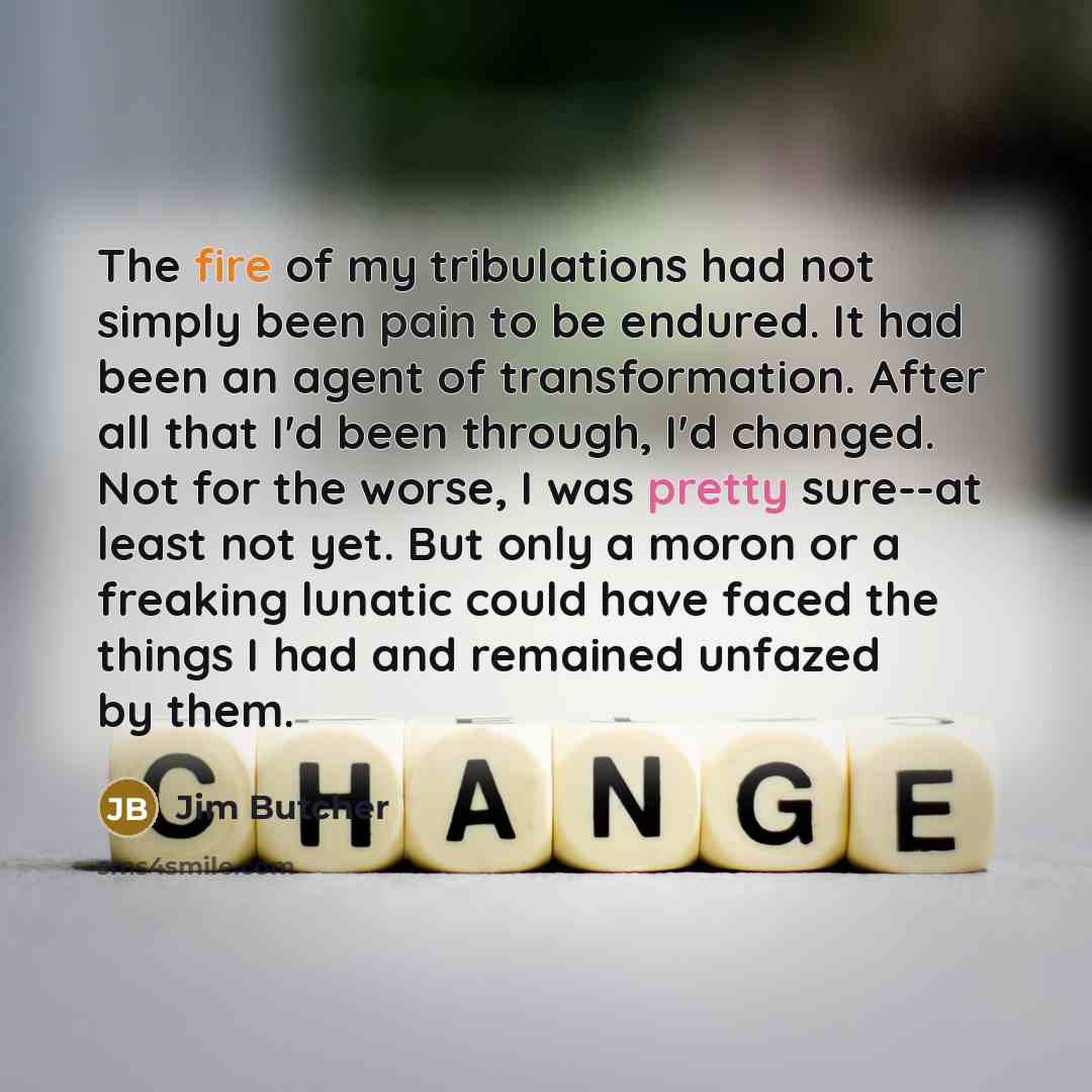 “The fire of my tribulations had not simply been pain…” quote by Jim Butcher