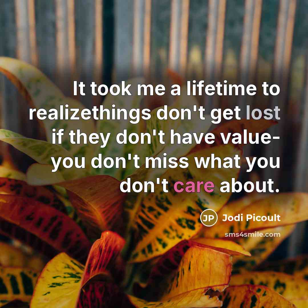 “It took me a lifetime to realizethings don't get lost…” quote by Jodi Picoult