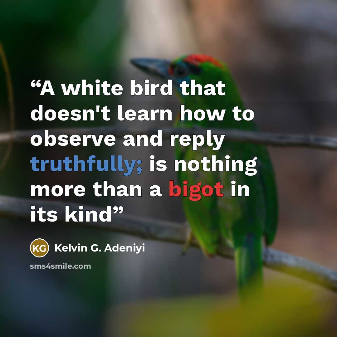 “A white bird that doesn't learn how to observe and reply truthfully; is nothing more than a bigot in its kind” quote by kelvin G. Adeniyi