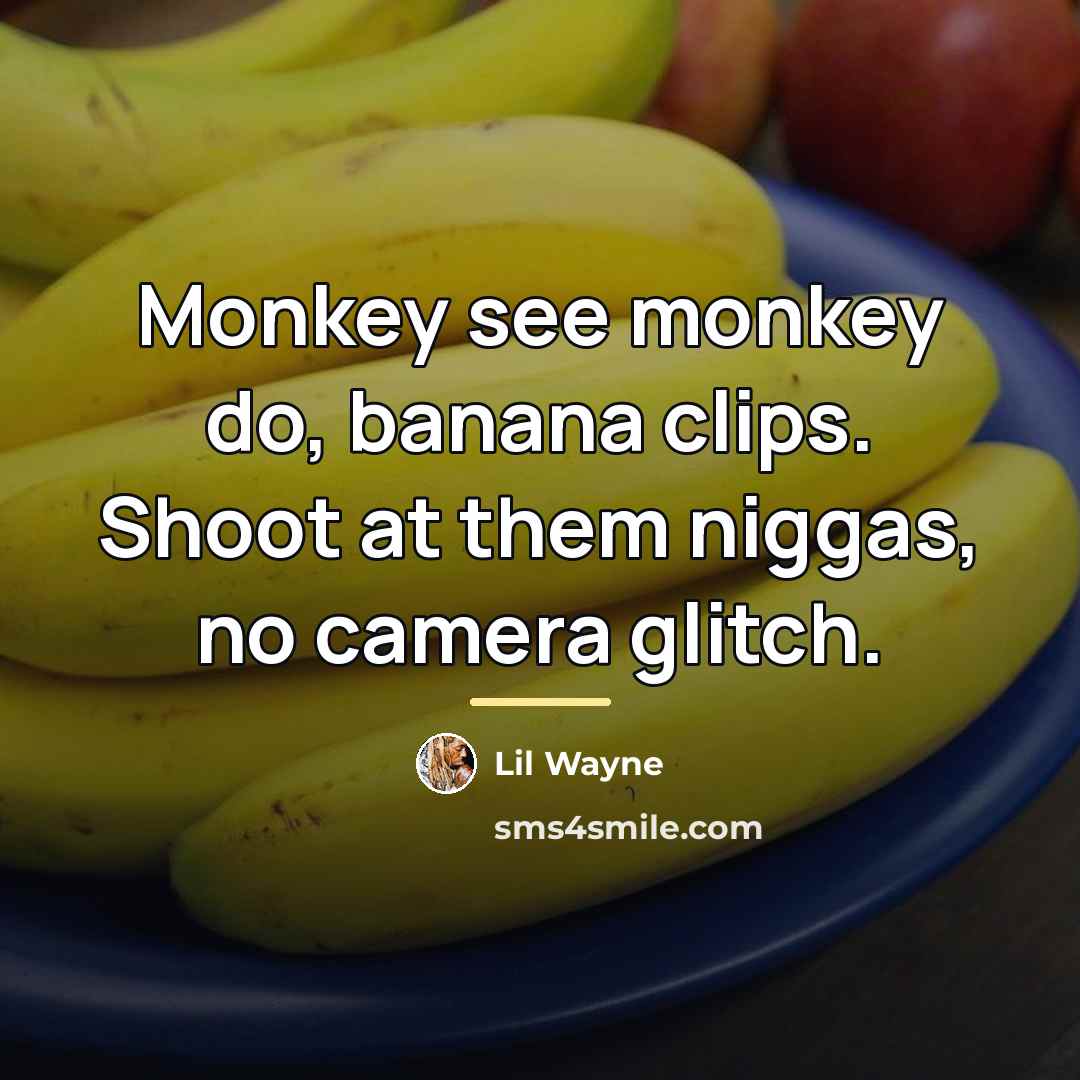 “Monkey see monkey do, banana clips. Shoot at them niggas,…” quote by Lil Wayne
