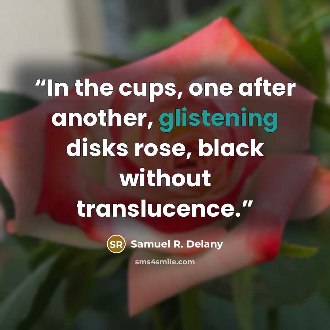 “In the cups, one after another, glistening disks rose, black without translucence.” quote by Samuel R. Delany