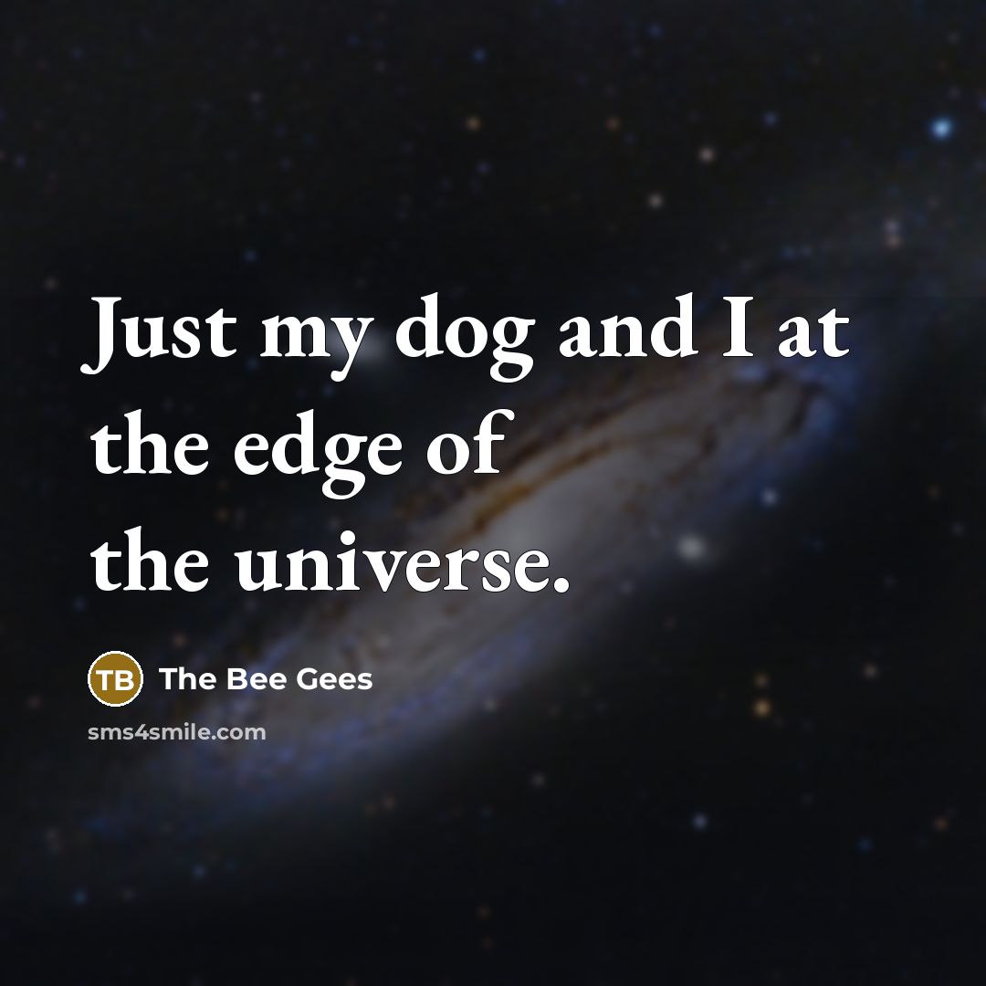 “Just my dog and I at the edge of the…” quote by The Bee Gees