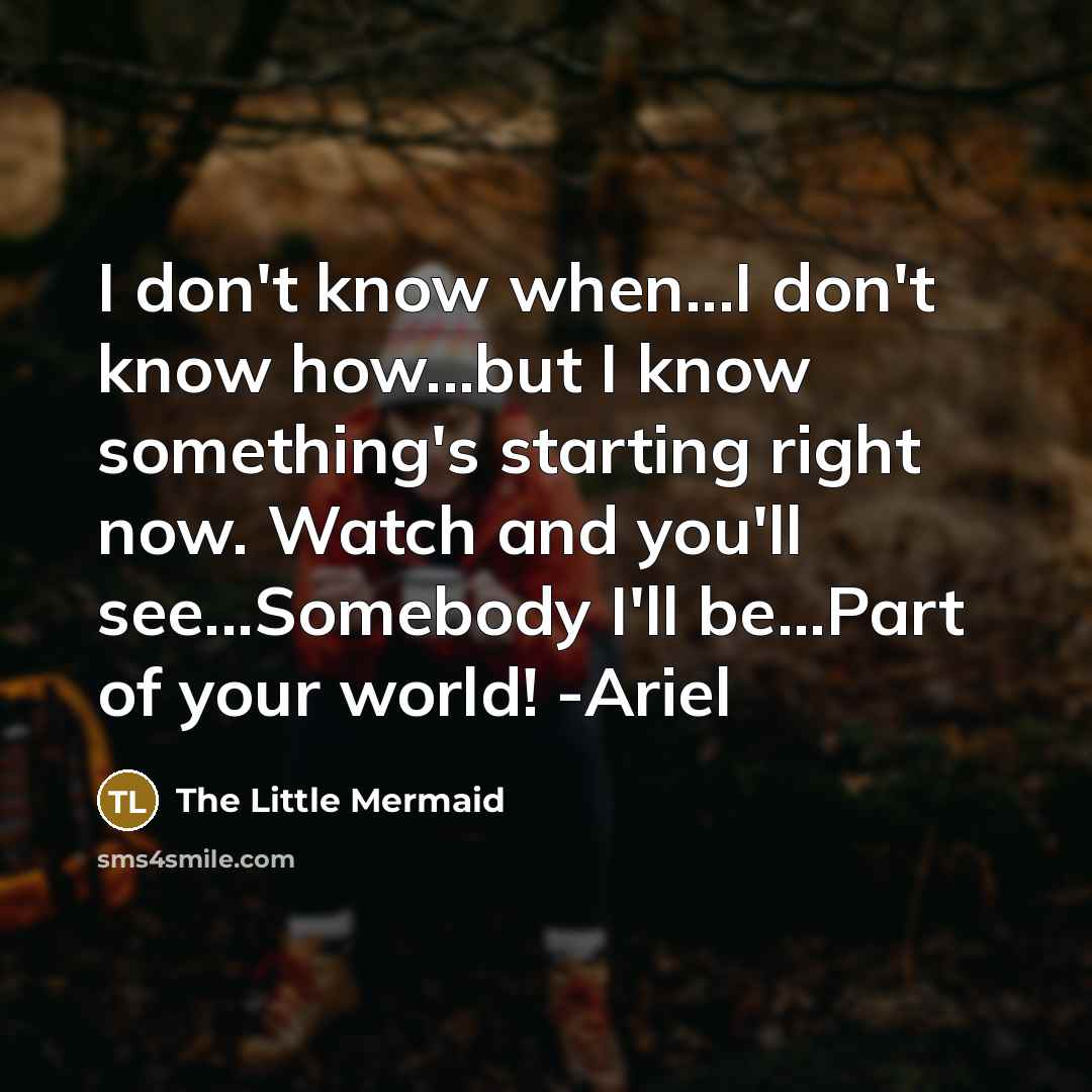 “I don't know when...I don't know how...but I know something's…” quote by The Little Mermaid