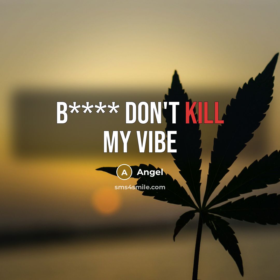 “B**** don't kill my vibe…” quote by Angel