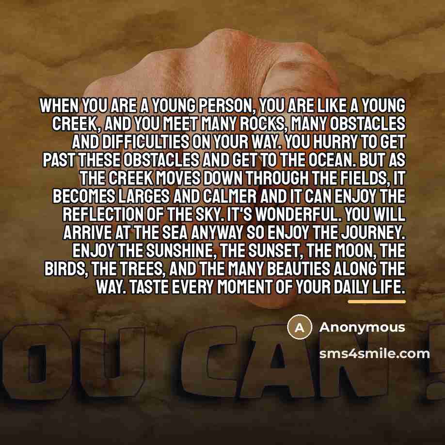 “When you are a young person, you are like a…” quote by Anonymous