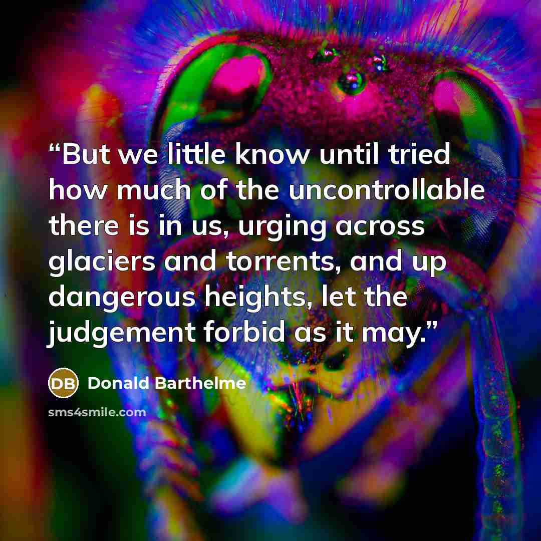 “But we little know until tried how much of the uncontrollable there is in us, urging across glaciers and torrents, and up dangerous heights, let the judgement forbid as it may.” quote by Donald Barthelme