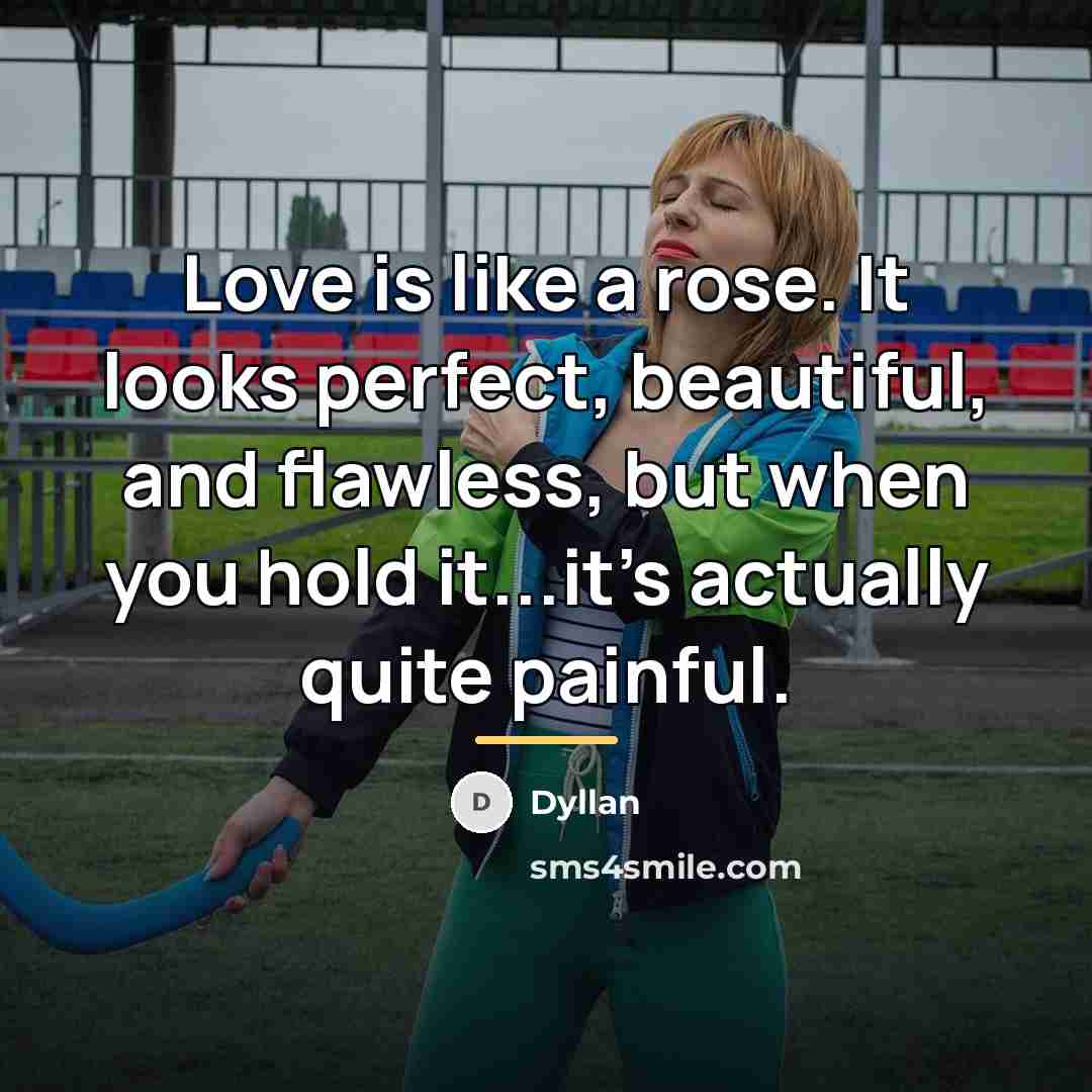 “Love is like a rose. It looks perfect, beautiful, and…” quote by Dyllan