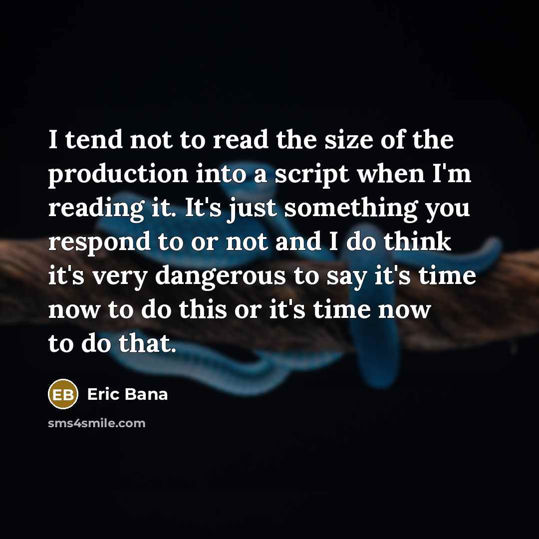 “I tend not to read the size of the production…” quote by Eric Bana