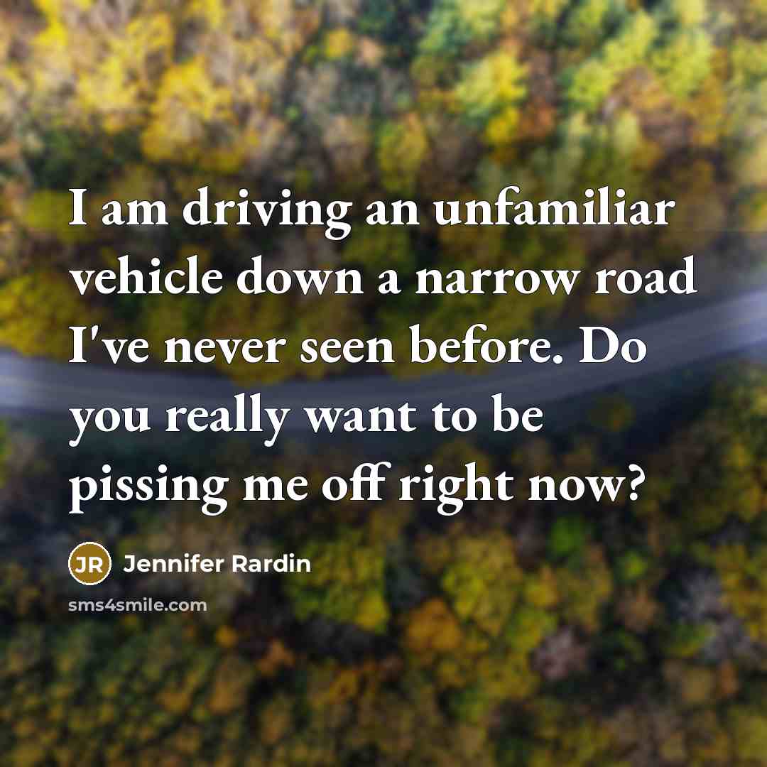 “I am driving an unfamiliar vehicle down a narrow road…” quote by Jennifer Rardin