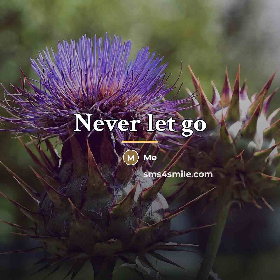 “Never let go…” quote by Me