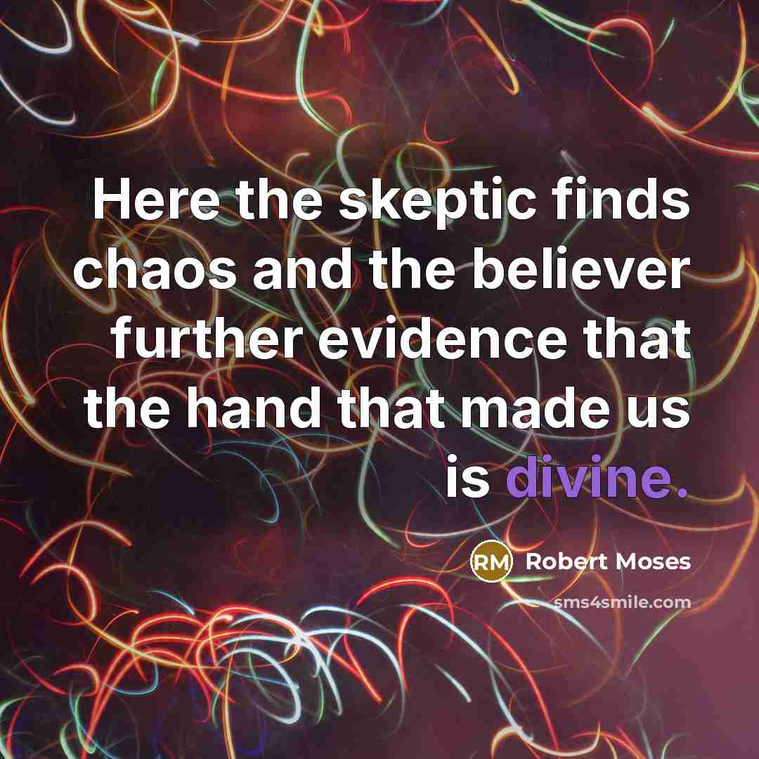 “Here the skeptic finds chaos and the believer further evidence…” quote by Robert Moses