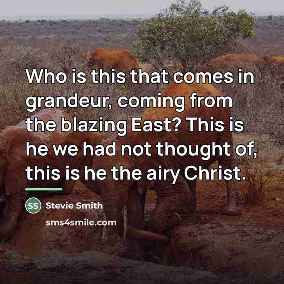 “Who is this that comes in grandeur, coming from the…” quote by Stevie Smith