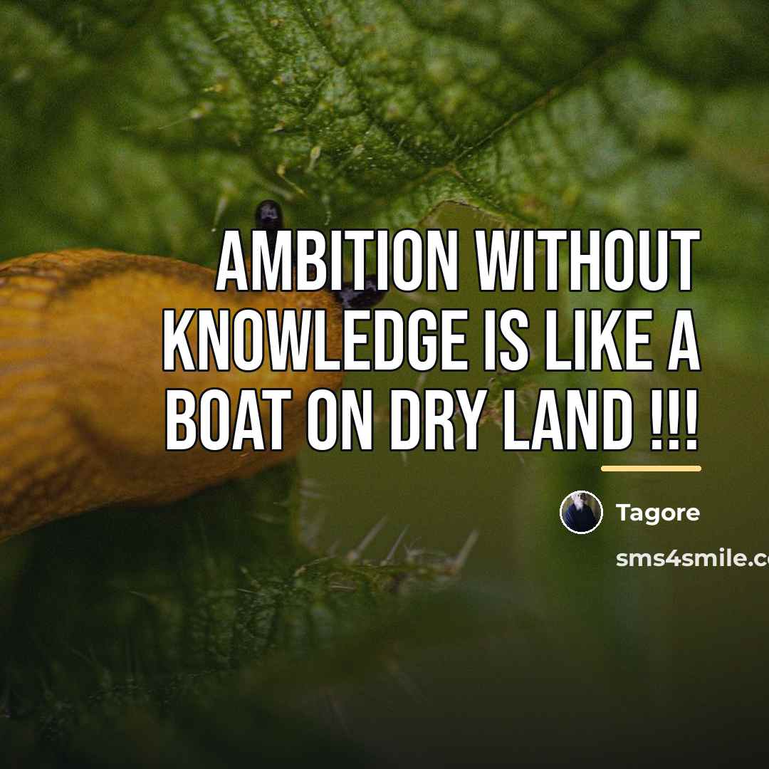 “Ambition without knowledge is like a Boat on dry land…” quote by Tagore