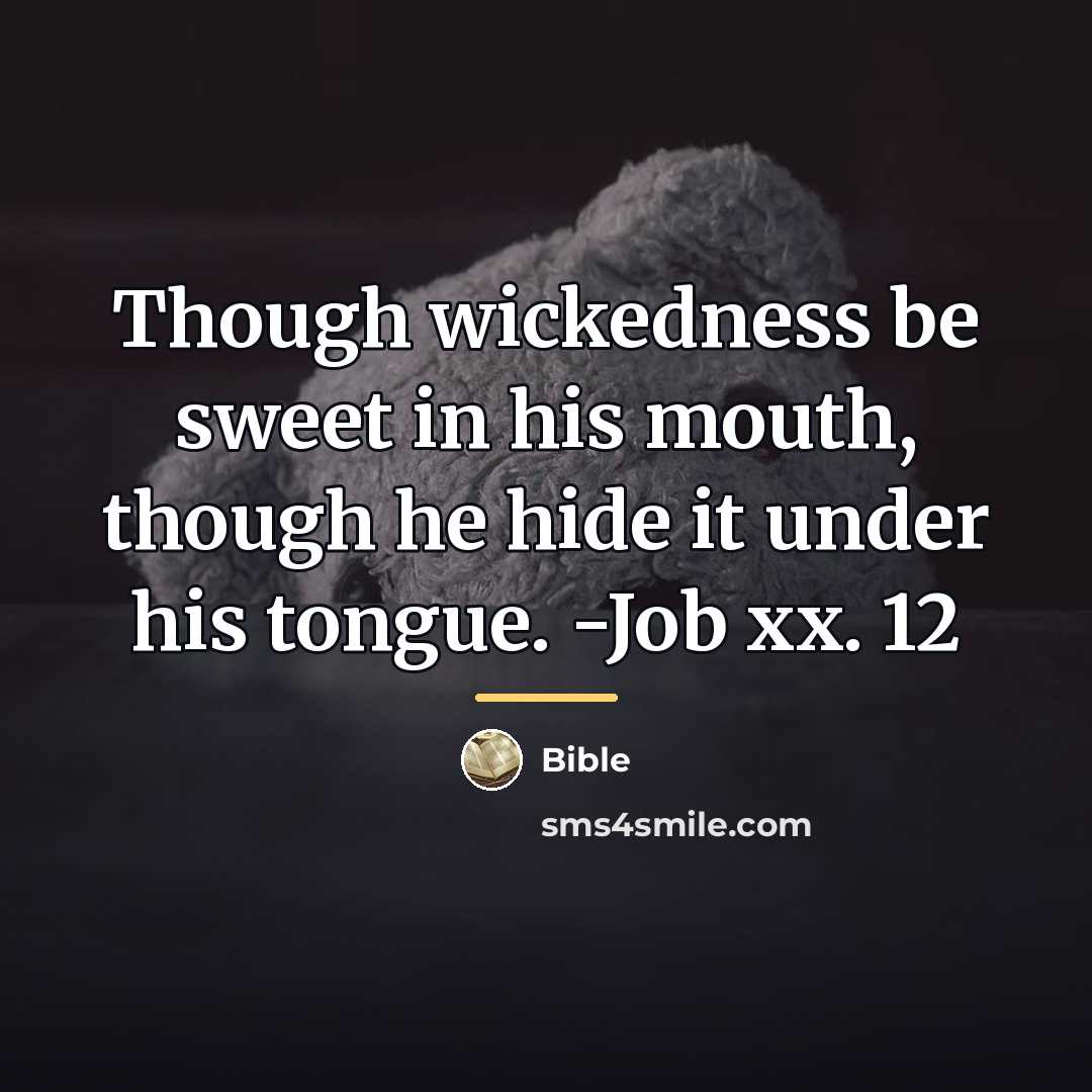 “Though wickedness be sweet in his mouth, though he hide…” quote by Bible