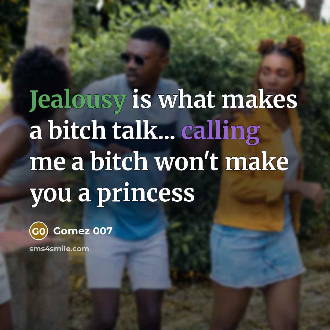 “Jealousy is what makes a bitch talk... calling me a bitch won't make you a princess” quote by Gomez 007