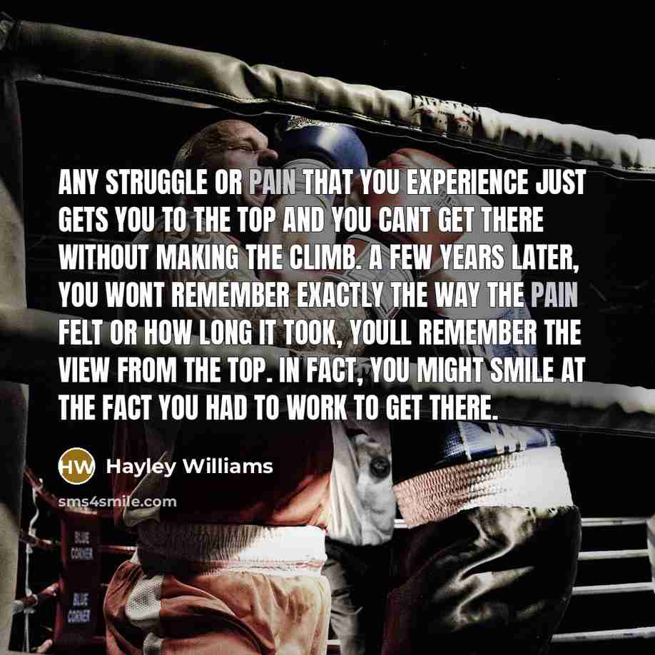 “Any struggle or pain that you experience just gets you to the top and you cant get there without making the climb. A few years later, you wont remember exactly the way the pain felt or how long it took, youll remember the view from the top. In fact, you might smile at the fact you had to work to…” quote by Hayley Williams