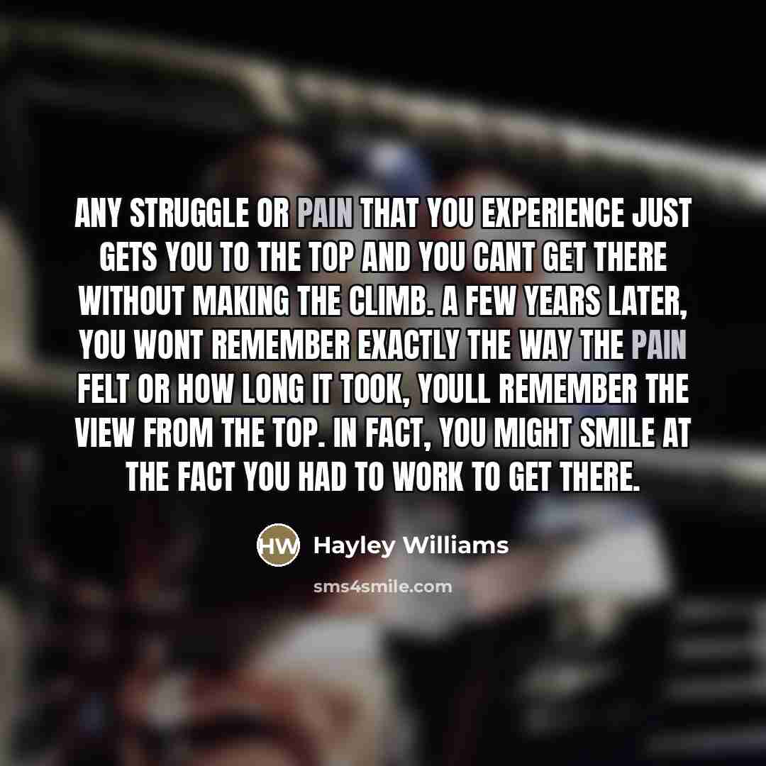 “Any struggle or pain that you experience just gets you…” quote by Hayley Williams