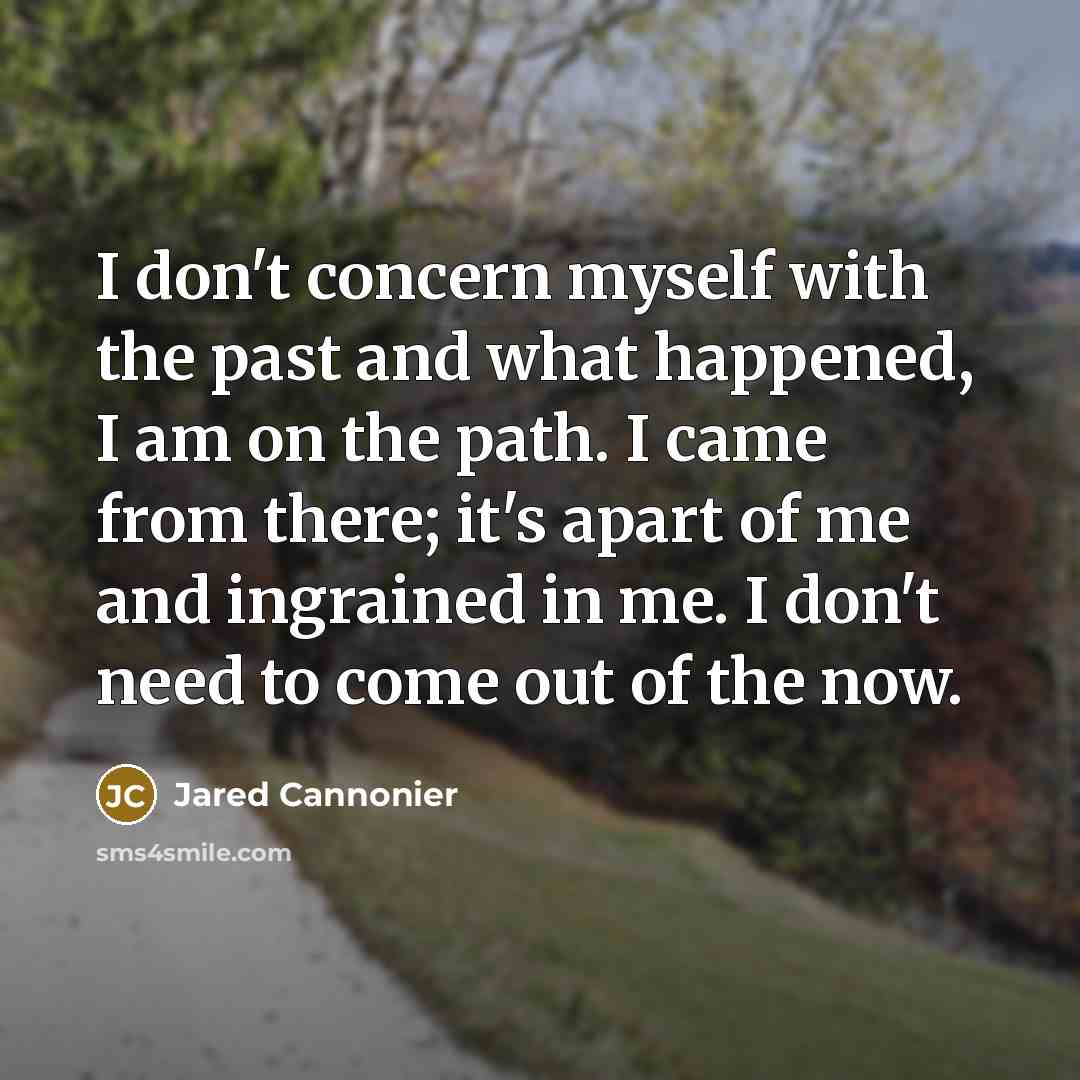 “I don't concern myself with the past and what happened,…” quote by Jared Cannonier