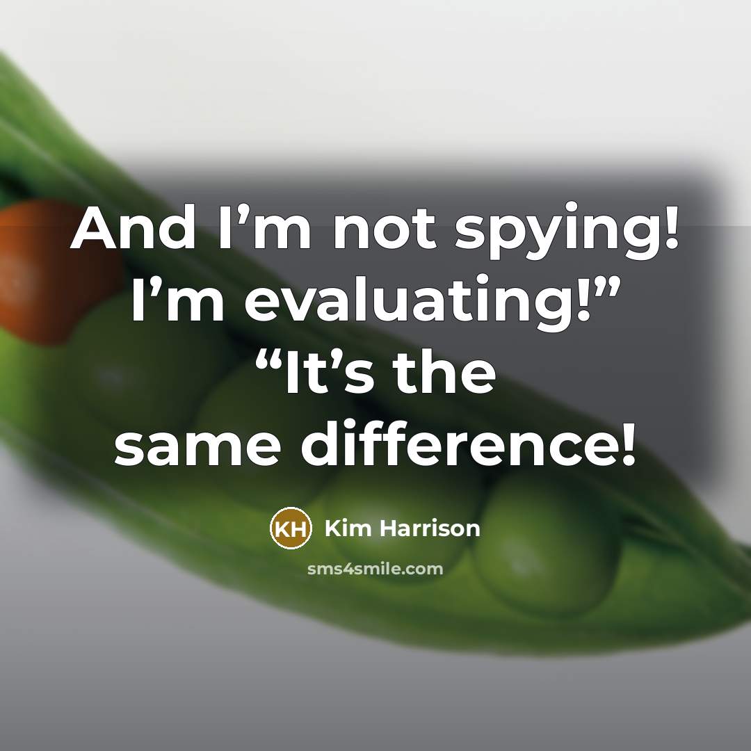 “And I’m not spying! I’m evaluating!” “It’s the same difference!” quote by Kim Harrison