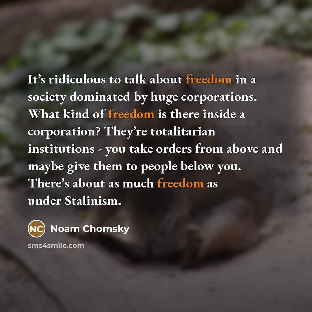“It’s ridiculous to talk about freedom in a society dominated…” quote by Noam Chomsky