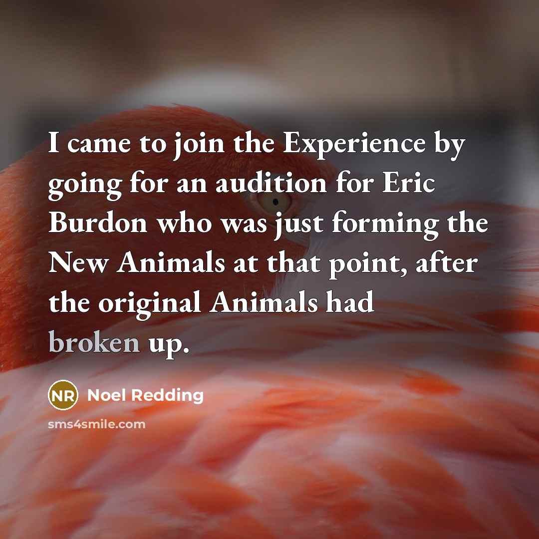 “I came to join the Experience by going for an…” quote by Noel Redding