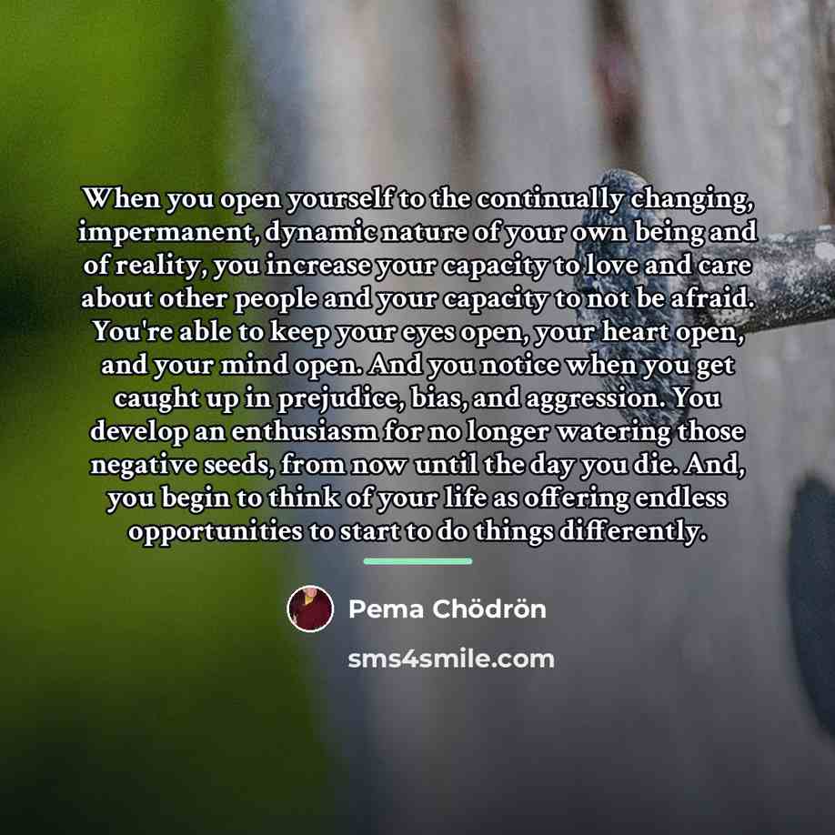 “When you open yourself to the continually changing, impermanent, dynamic…” quote by Pema Chodron